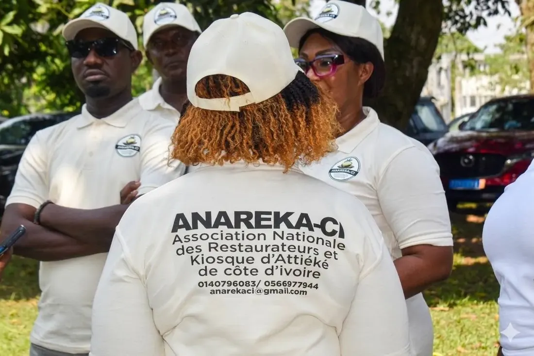 Identité visuelle ANAREKA-CI